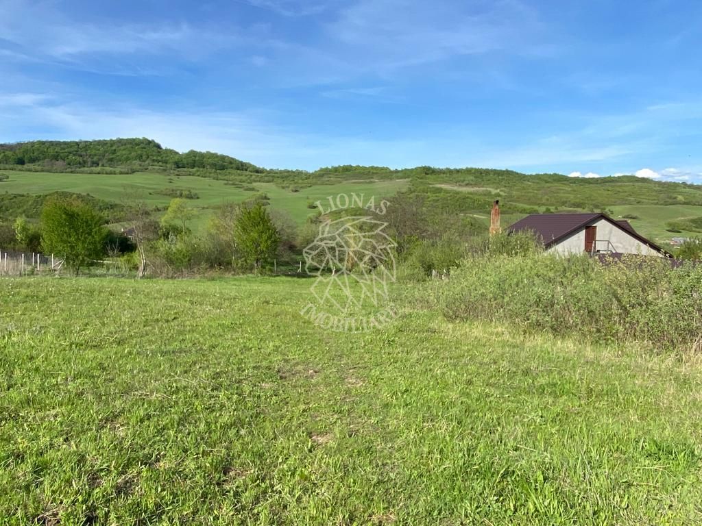 Teren 2160 mp - pretabil pentru cabana - investitie - Jelna - Poză 7