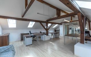 Aviatiei | Smaranda Braescu | Vila reprezentativa de inchiriat - Poză 19