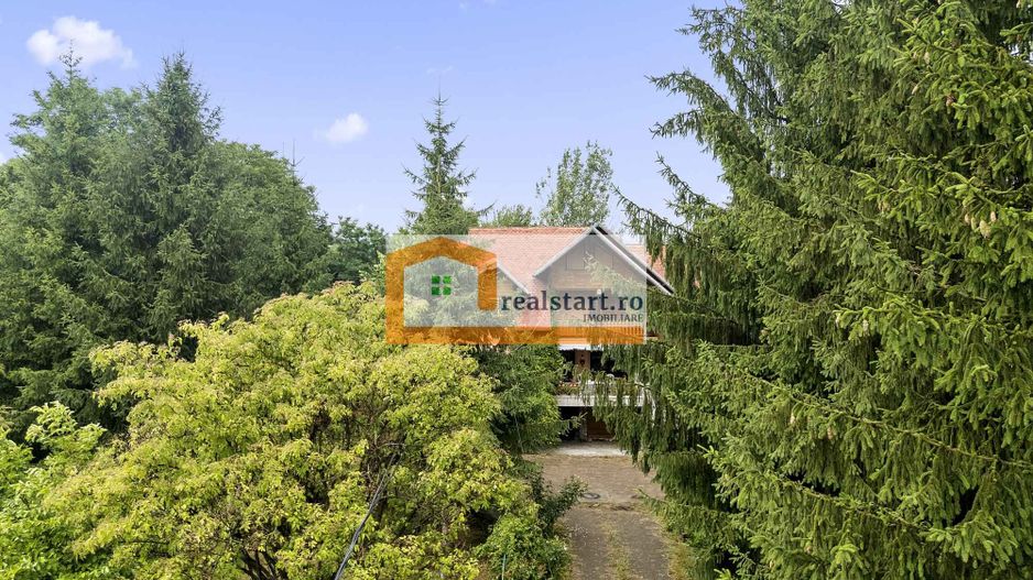 Vedere directa la Padure, 5000mp teren, Vila D+P+1E+M, semineu, foisor - Poză 3
