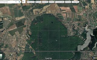 `Teren langa padure, Snagov - Strada Parcului - Poză 4