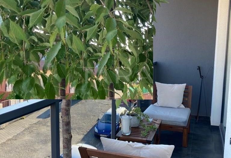 Apartament Elegant cu 2 Camere - Poză 8