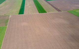 Teren de 5Ha în Satchinez. - Poză 5