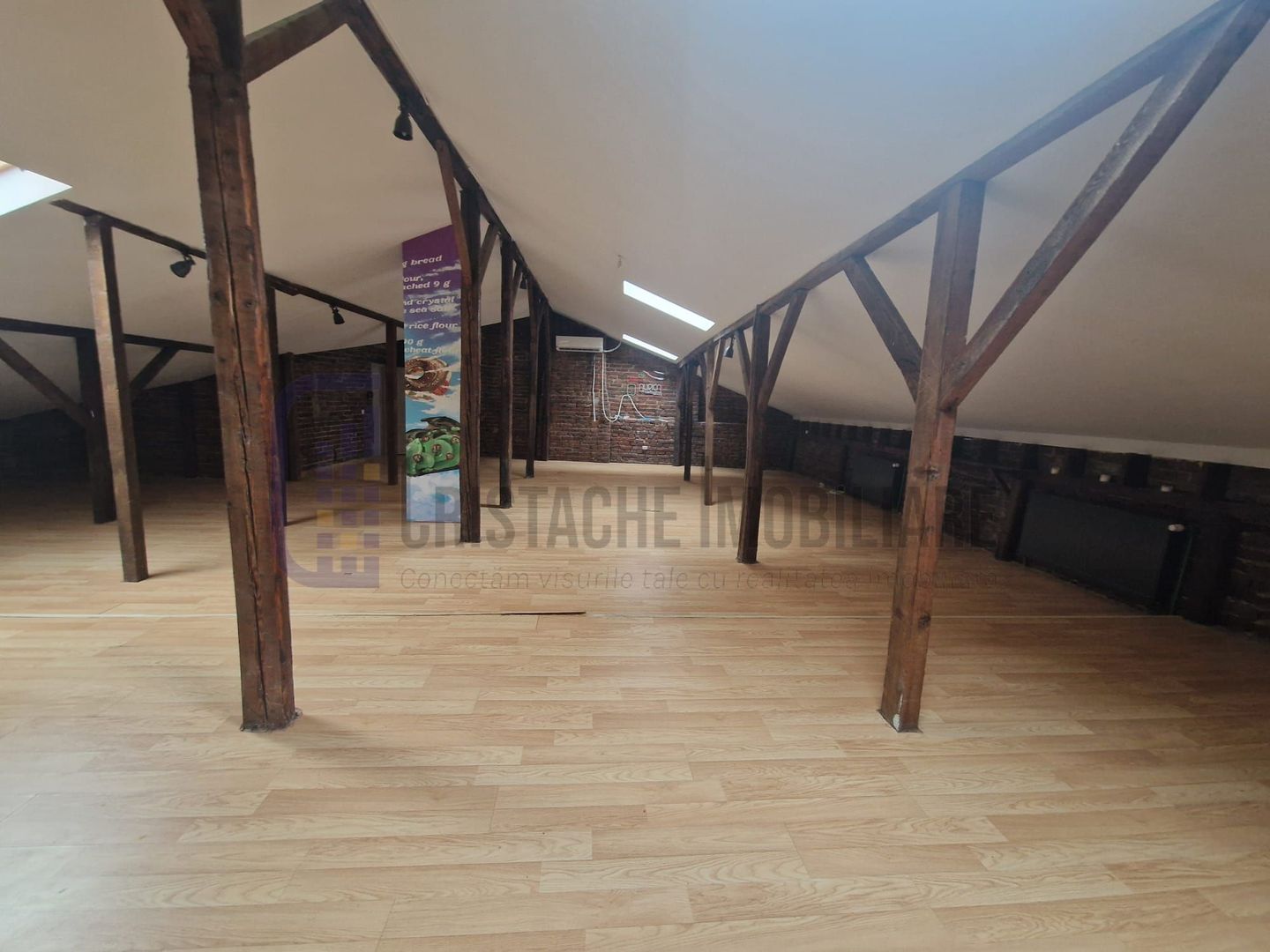 Spatiu comercial in vila, etj. 1 + mansarda, 220 mp, Piata Amzei - Poză 4