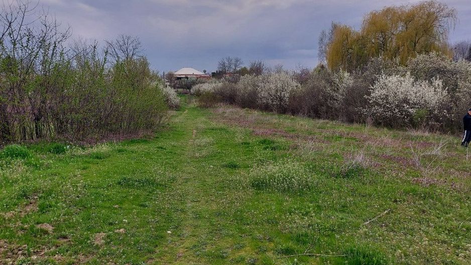 Teren Topoloveni - 3670 mp - langa padure, aproape de Centrul orasului  - Poză 1
