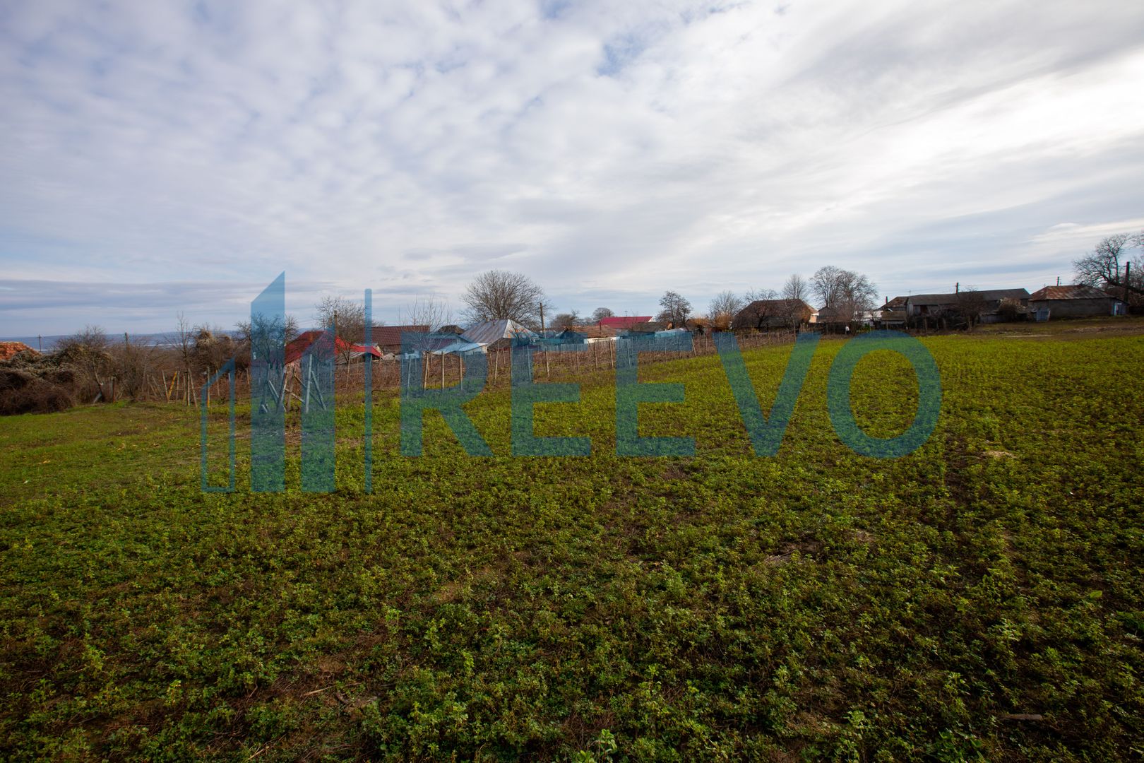 Casa si teren 3365mp Sascut - Poză 29