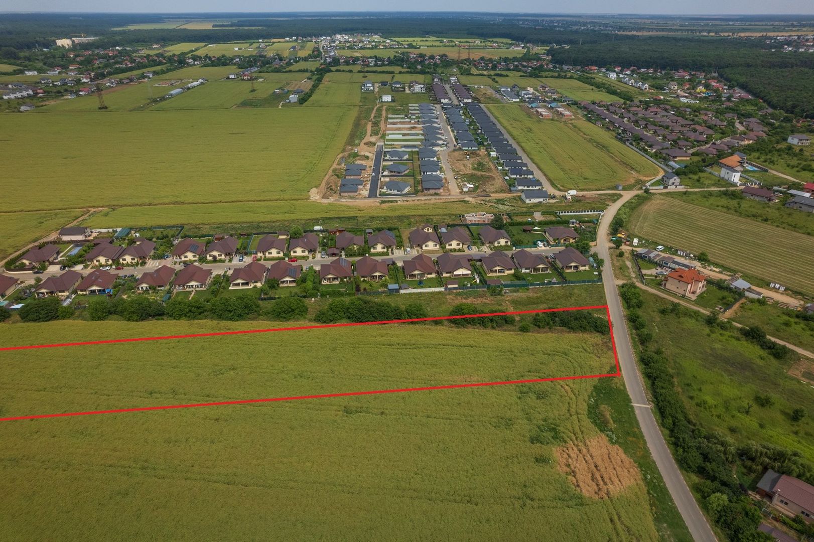 Teren intravilan, Balotești, Strada Cameliei 36, 10.000 mp - Poză 3