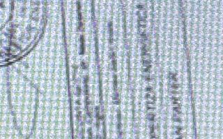 VILA 7 CAMERE TEREN 872 MP BUGHEA ARGES - Poză 43