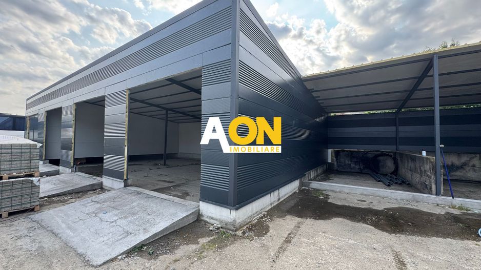 De inchiriat hale diferite dimensiuni, Blaj - Poză 1