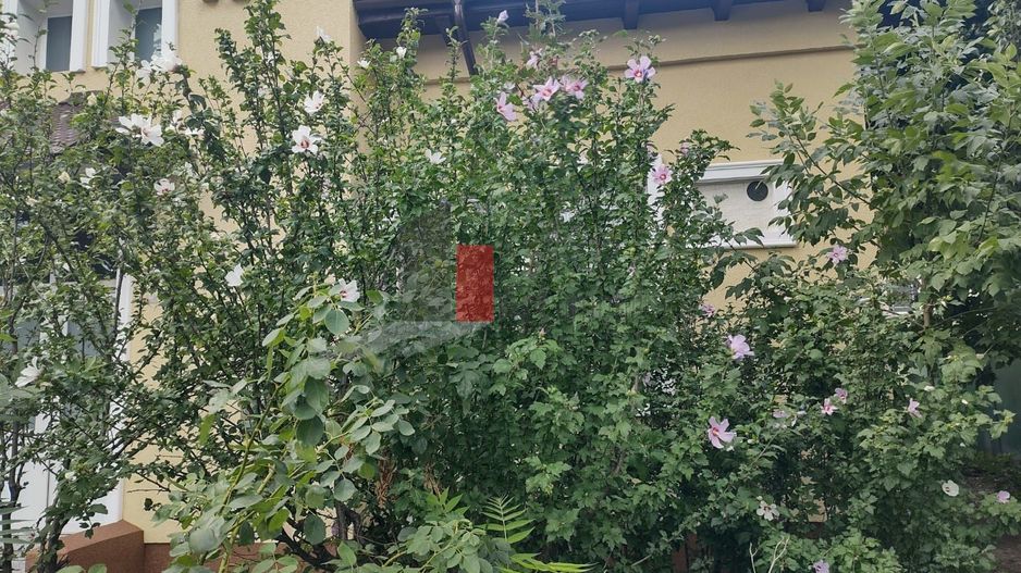 Închiriere casă Șoseaua Progresului - Poză 1