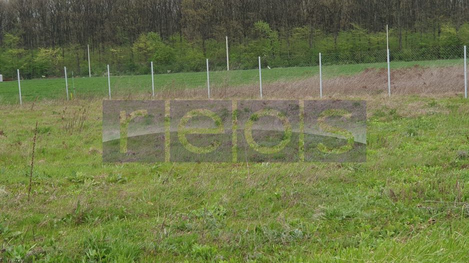 VANZARE TEREN 1500 MP| GHERMANESTI | PADUREA SNAGOV - Poză 4