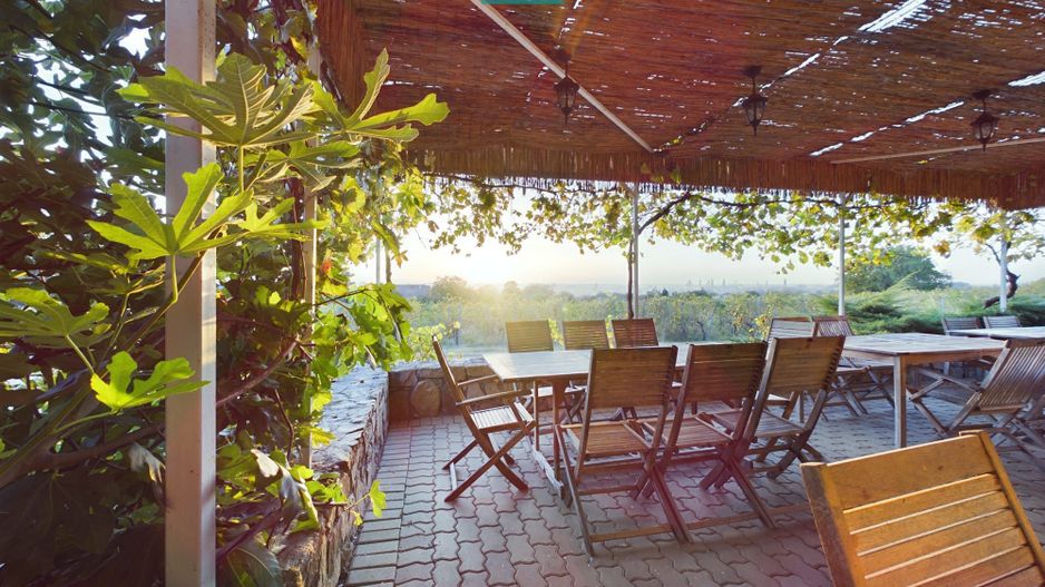 Spațiu comercial - Crama Pivnițele Birăuaș - Poză 15