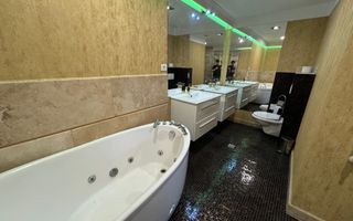 Triplex 5 Camere de Închiriat - Herăstrău, Cartierul Francez - Poză 15