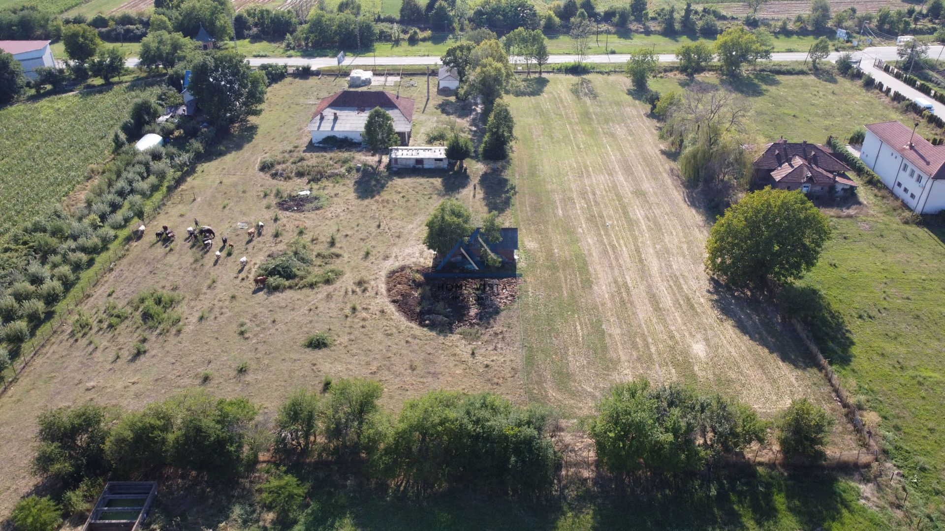 Teren intravilan de 10 614 mp cu deschidere de 59 m – Baiculesti (Comision 0%) - Poză 3