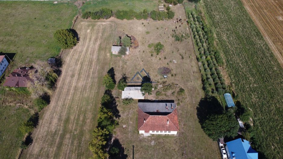 Teren 1,3 ha, Hala productie de vanzare Baiculesti - Curtea de Arges - Poză 1