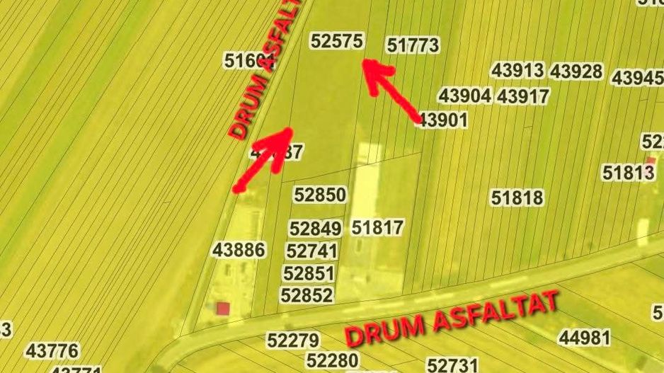 Teren extravilan arabil | Intrare in Pielesti | Zona Peugeot - Poză 2