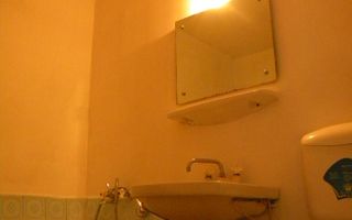 Apartament cu 1 camere de vânzare în zona Dristor - Poză 1
