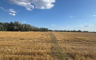 Parcele Teren intravilan Fughiu - Poză 5