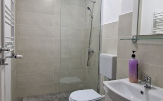 Apartament 1 camera |  Echipe de muncitori  |  Ascensor  |  Iosia | Oradea - Poză 5