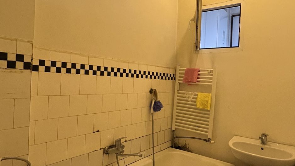 2 CAMERE DINICU GOLESCU | STIRBEI VODA - Poză 9