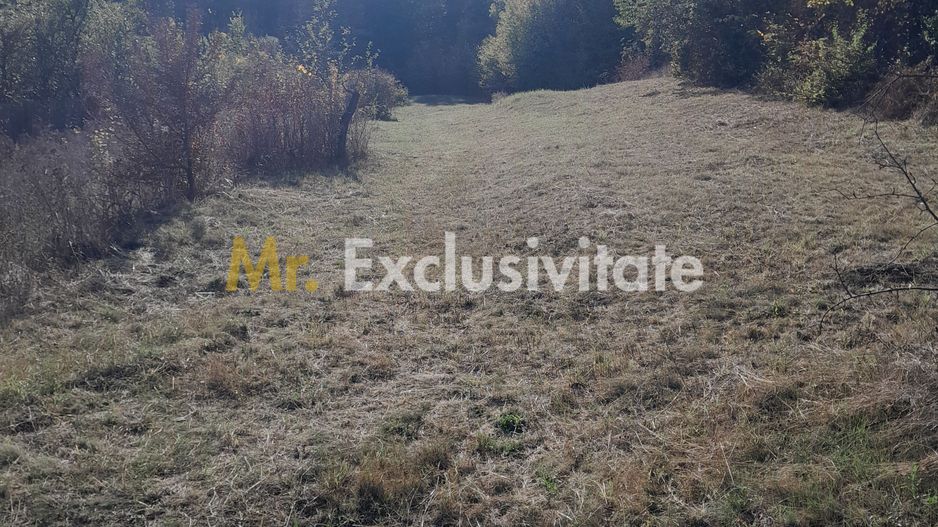TEREN DE VANZARE IN BABANA, ARGES,  LANGA PADURE - Poză 6