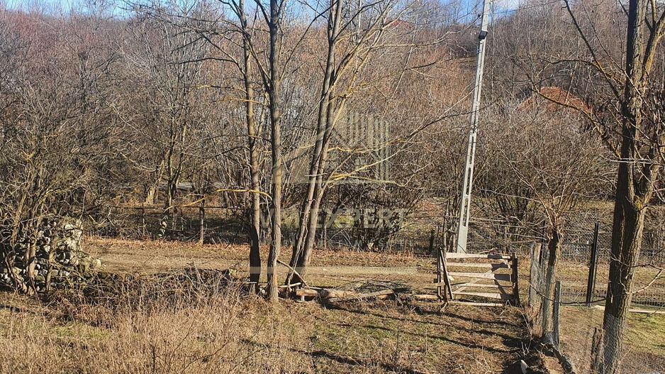 TEREN INTRAVILAN 4614 MP, CAMPULUNG - VALEA ROMANESTILOR - Poză 6