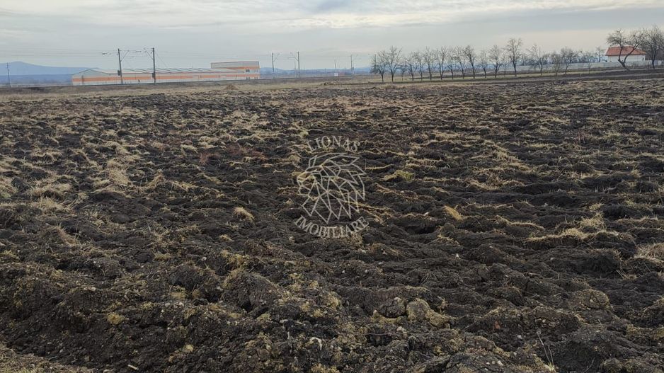 Oportunitate investitie 5 parcele teren intravilan ideal case/servicii-Rascruci - Poză 4