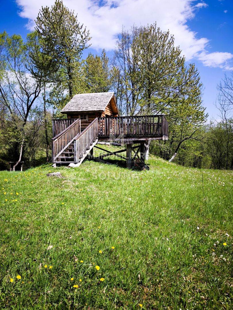Pensiune agroturistică de vânzare | Desești – Maramureș - Poză 16