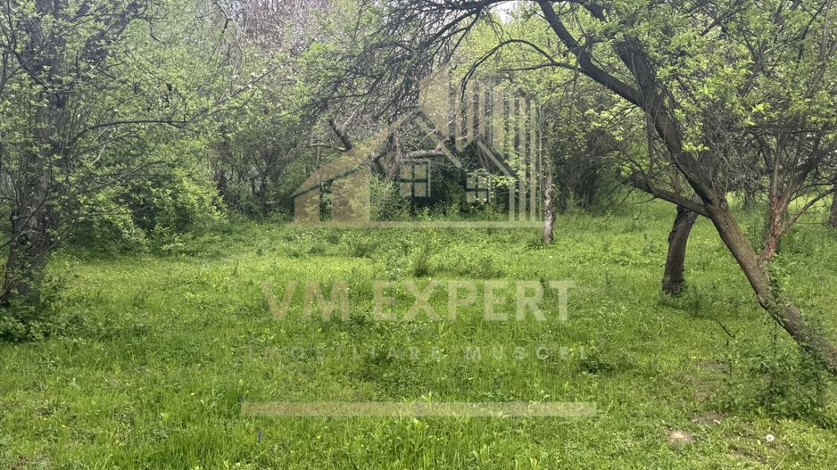 TEREN INTRAVILAN 7018 MP CAMPULUNG - Poză 33