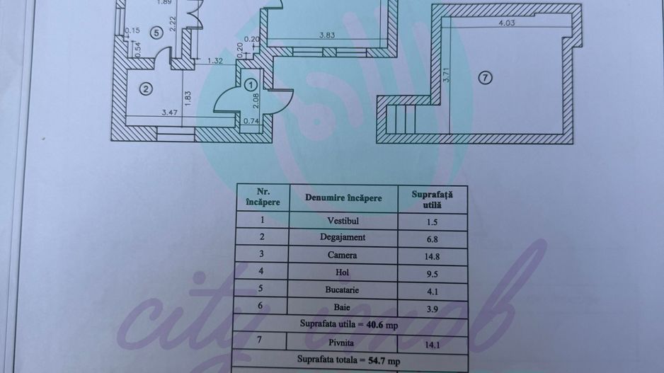 Casuta "bunicii" la 2 pasi de Calea Calarasilor - Poză 19