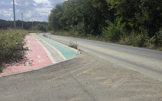 Teren 7500 mp Campurelu Colibasi strada asfaltata langa padure - Poză 6