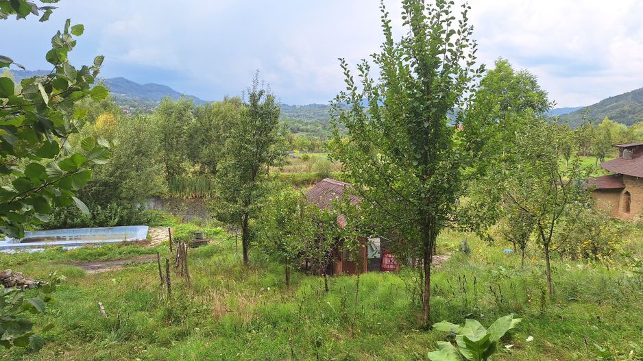 VANZARE ANSAMBLU CASUTE BRADULET ARGES - Poză 12