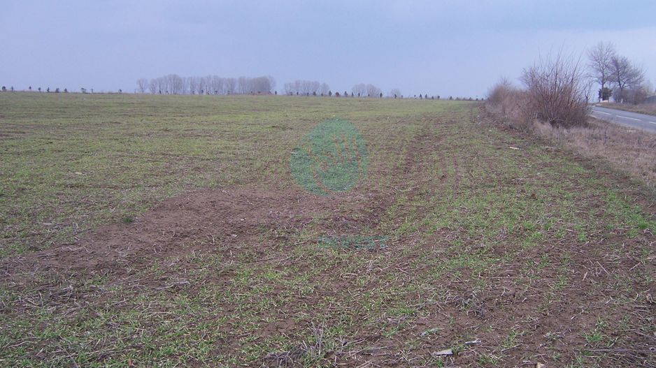 Teren constructii intravilan de 1000 mp, Venus - Poză 1