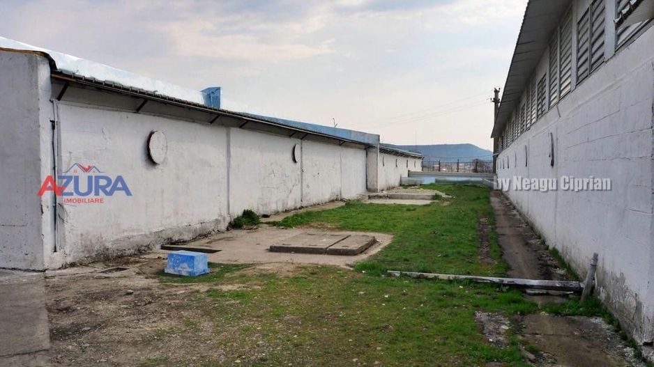 COMISION 0% - HALE Calinesti Arges - Poză 45