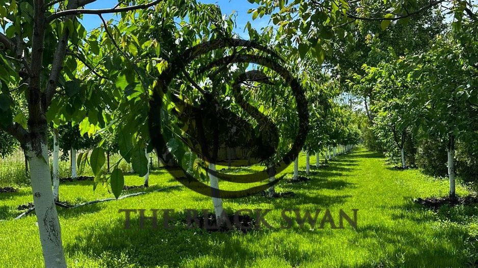 Casa / Vila de vanzare | 2232 mp teren | Tariceni, Prahova - Poză 32