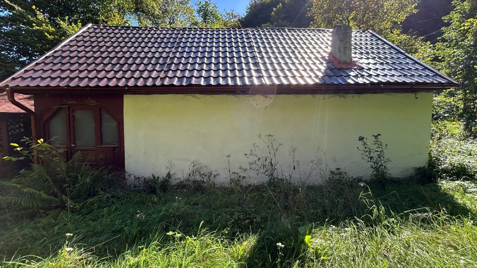 Cabana de vanzare, Valea Manastirii - Ramet - Poză 3