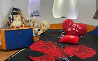 Vila S+P+1+M Lapus, str Paunitei - Poză 69