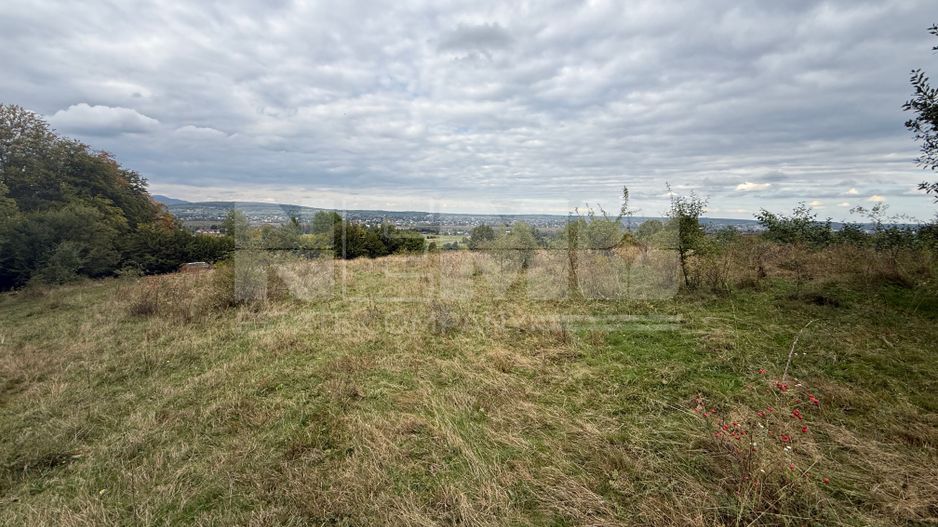 Teren de vânzare în Putna | 6.400 mp | 56 m front stradal - Poză 7
