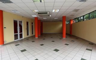 Spațiu comercial de 208mp de închiriat în zona Bogdanestilor - Poză 5