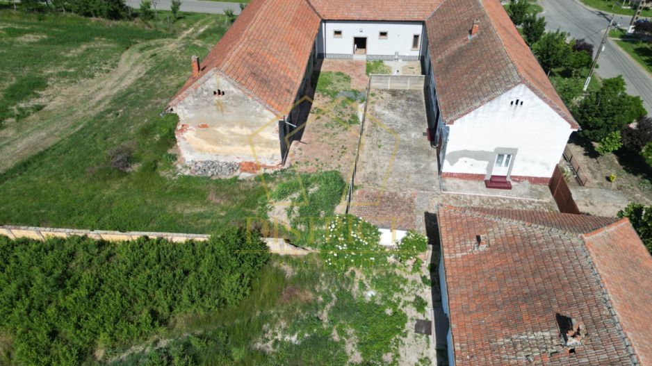 Casa cu istorie, teren de aproape 2 hectare si potențial rar | Petrovaselo - Poză 19