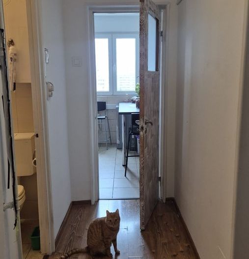 Apartament 2 camere str Capitan Nicolae Licaret - Poză 1