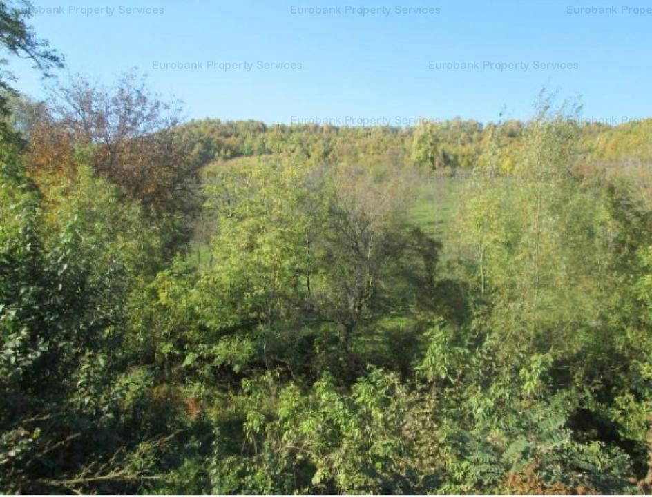 Teren Stefanesti sat Valea Mare - Poză 3