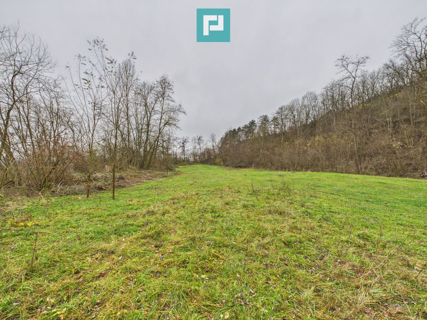 Casă cu teren de 24.679,73 mp, în Hălmagiu, Arad - Poză 32