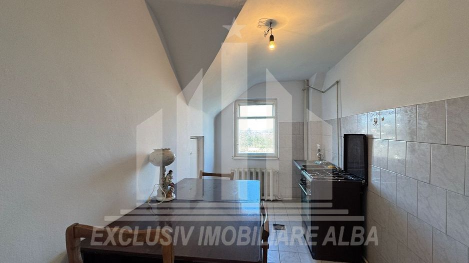 Casa individuala | De inchiriat | 320 mp | 750 mp teren | Cetate - Poză 14