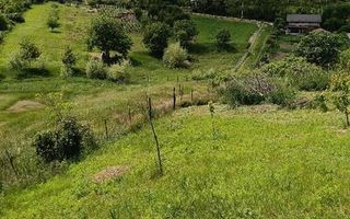 Teren intravilan de vanzare, Vorovesti, comuna Miroslava - Poză 4