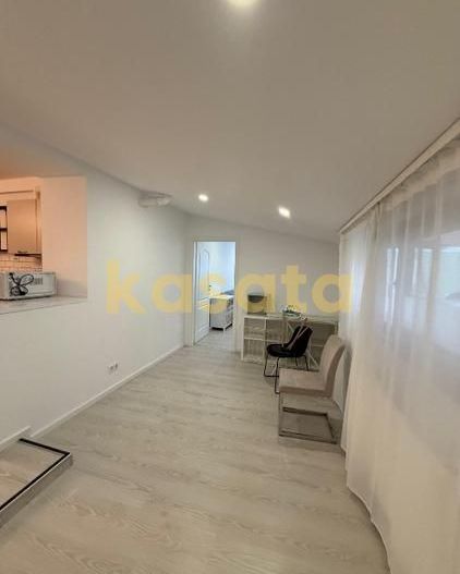 Apartament 4 camere | Parter | Herăstrău - Poză 2
