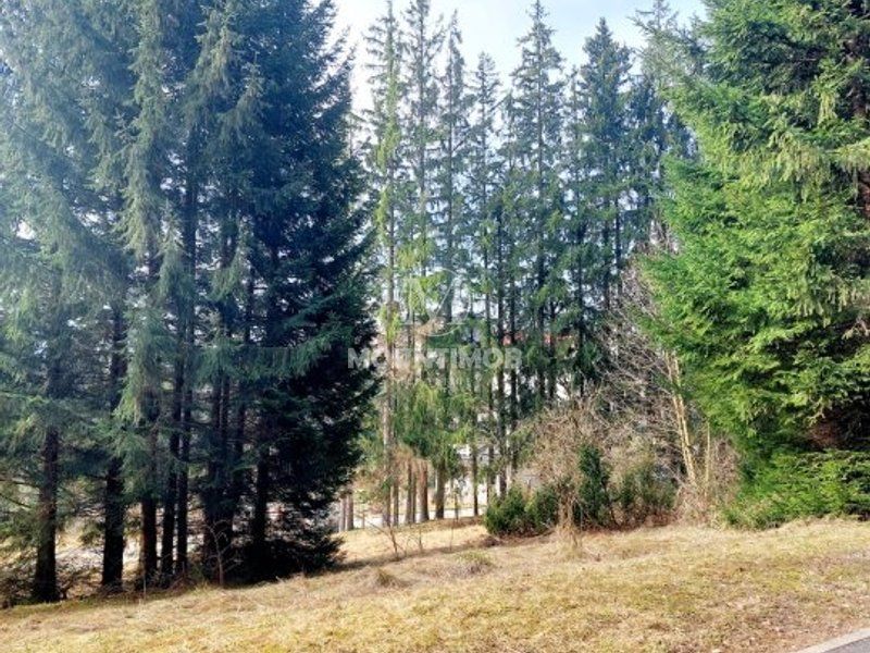 Teren intravilan în Poiana Brașov 1404 mp, str. Poiana Ruia - Poză 6