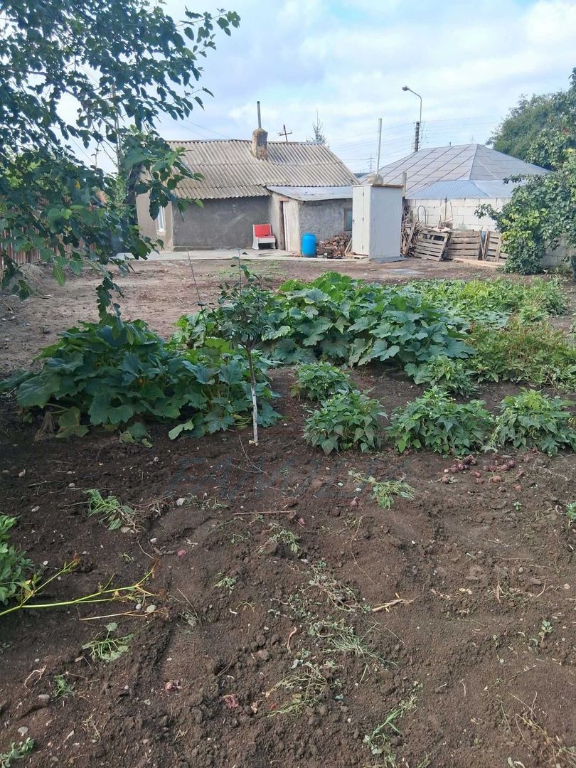 38.000 euro, casa DEMOLABILA cu 440 mp teren in FILESTI - Poză 1