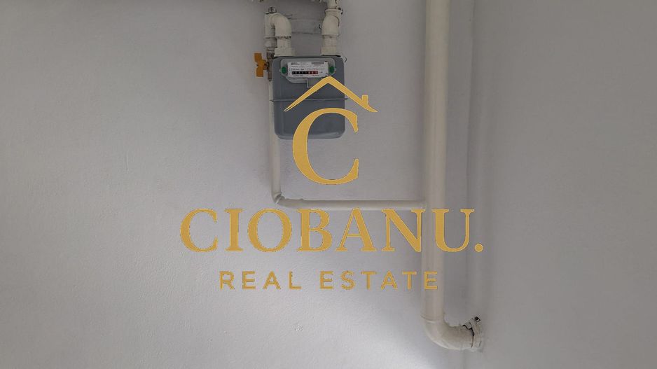 Hale industriale+Cladire de Birouri de inchiriat zona Aeroport - Poză 14