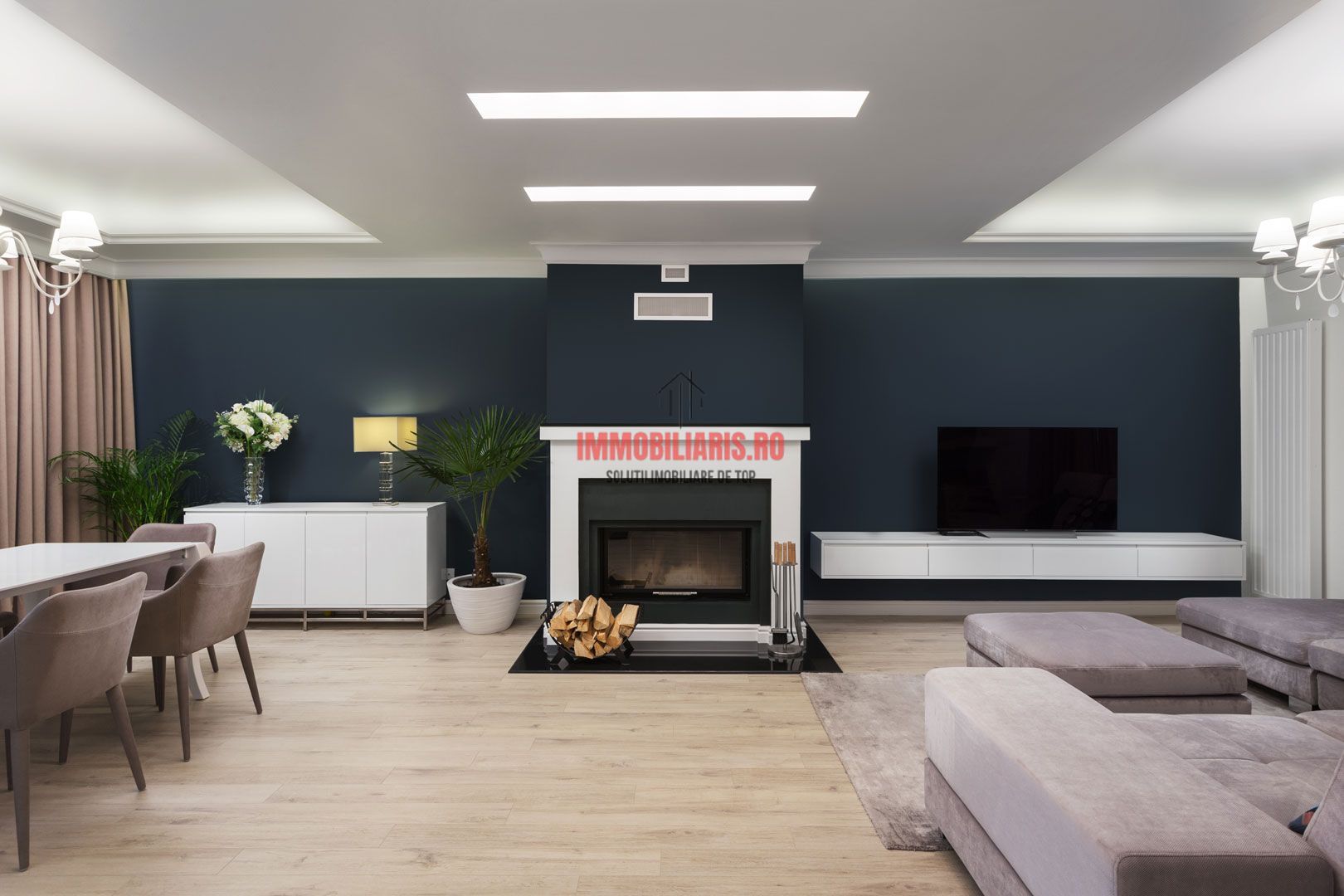 Theodor Pallady - Ansamblu Premium - Dezvoltator - Poză 3