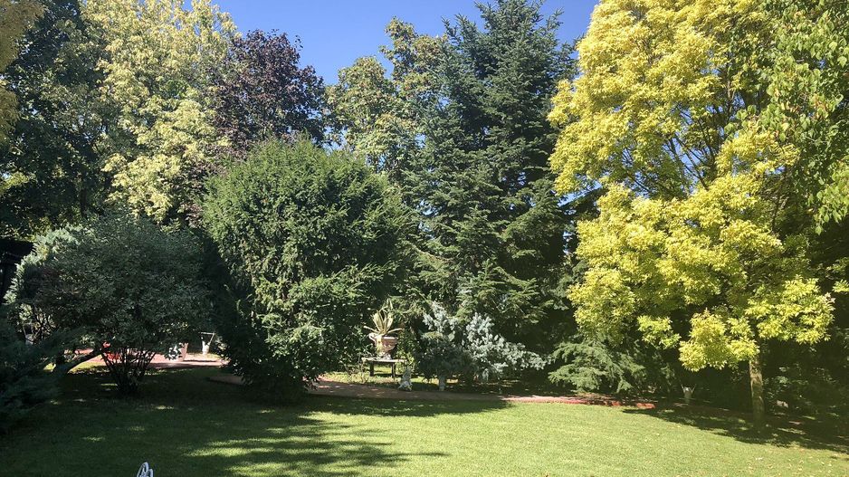 PROPRIETATE CU ENERGIE PURA |  Sanctuarul Eleganței și Rafinamentului - Poză 22